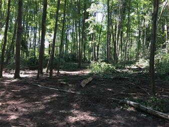 Metcalf Lake city-owned property